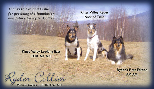 Ryder --Kings Valley Looking East CDX AX AXJ, Kings Valley Ryder Nick of Time, Ryder’s First Edition AX AXJ