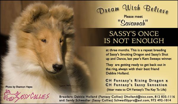 Fantasy/Sassy -- Dream Wish Believe