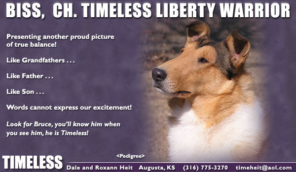 Timeless -- CH Timeless Liberty Warrior