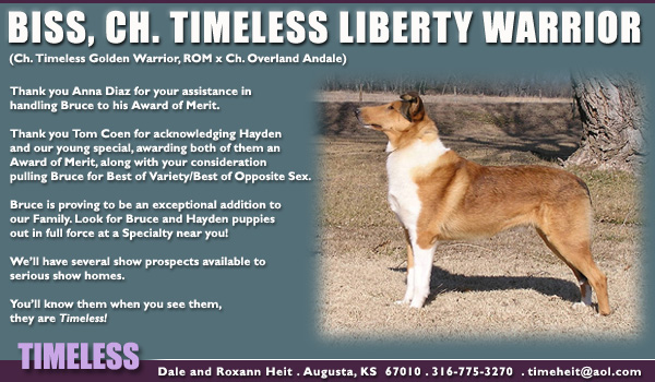 Timeless -- CH Timeless Liberty Warrior