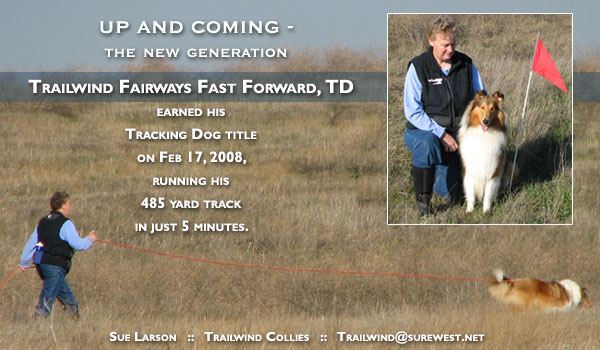 Trailwind -- Trailwind Fairways Fast Forward, TD
