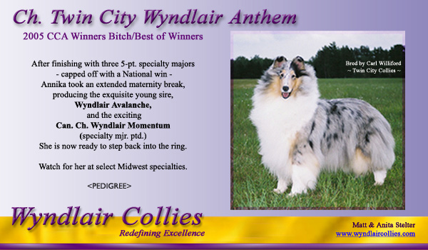 Wyndlair -- CH Twin City Wyndlair Anthem