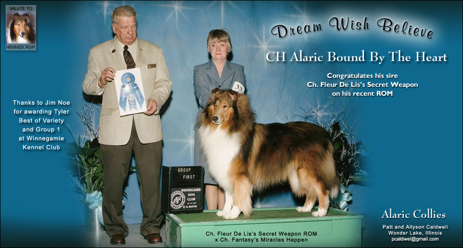 Alaric Collies -- CH Alaric Bound By The Heart