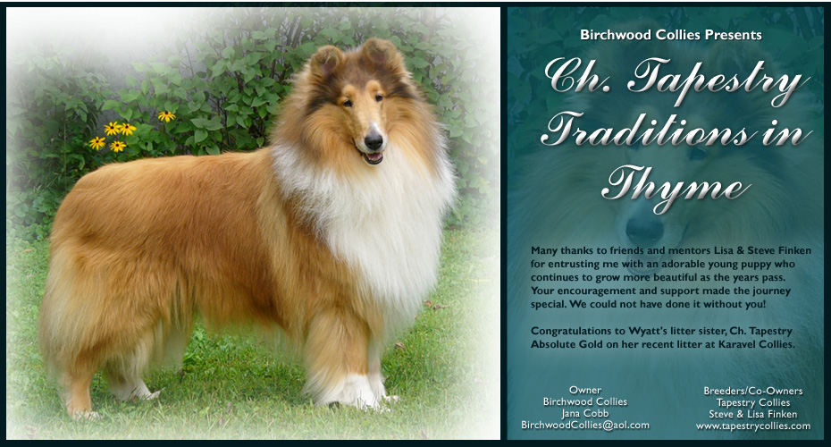 Birchwood Collies / Tapestry Collies  --CH Tapestry Traditions In Thyme
