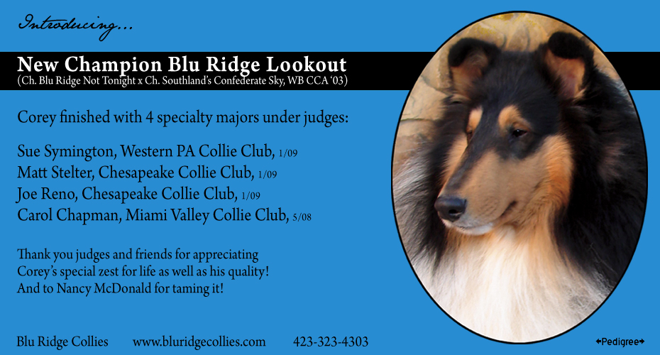 Blu Ridge Collies -- CH Blu Ridge Lookout
