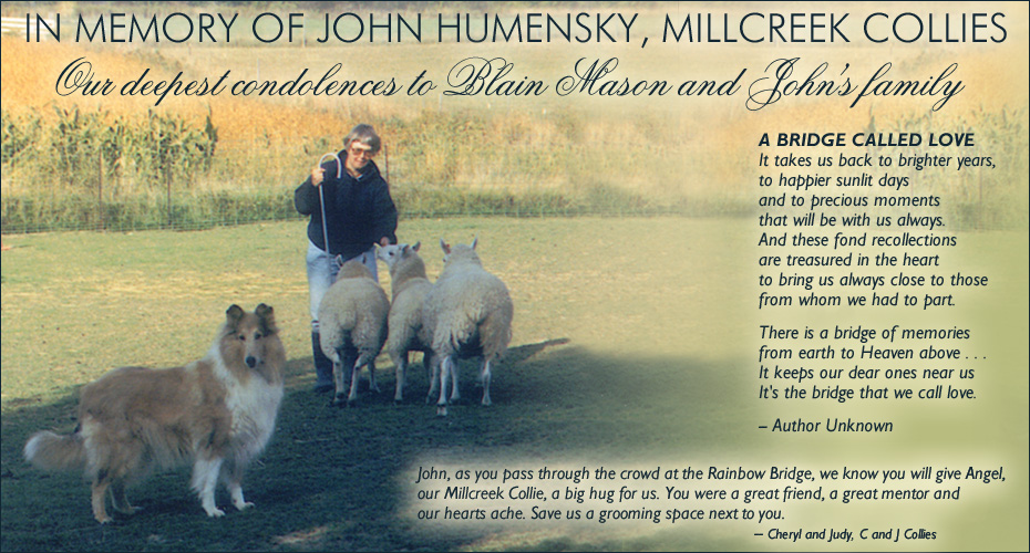C and J Collies -- In Memory of John Humensky, Millcreek Collies