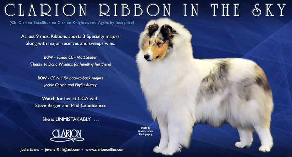 Clarion Collies -- Clarion Ribbon In The Sky