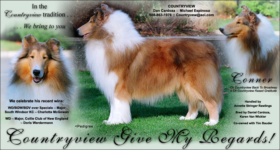 Countryview Collies -- Countryview Give My Regards!