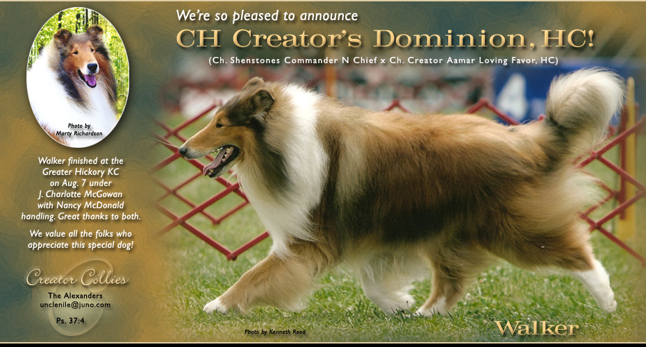 Creator Collies -- CH Creator's Dominion, HC
