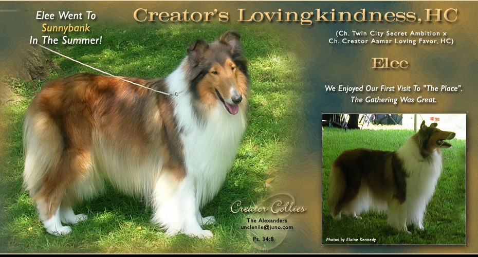 Creator Collies -- Creator's Lovingkindness, HC