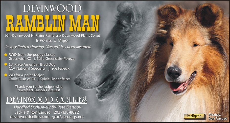 Devinwood Collies -- Devinwood Ramblin Man