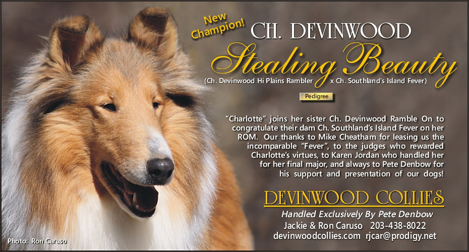 Devinwood Collies -- Devinwood Stealing Beauty
