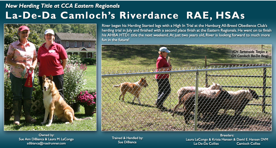 Sue DiBianca -- La-De-Da Camloch's Riverdance RAE, HSA's