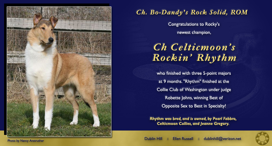 Dublin Hill Collies -- CH Celticmoon's Rockin' Rhythm