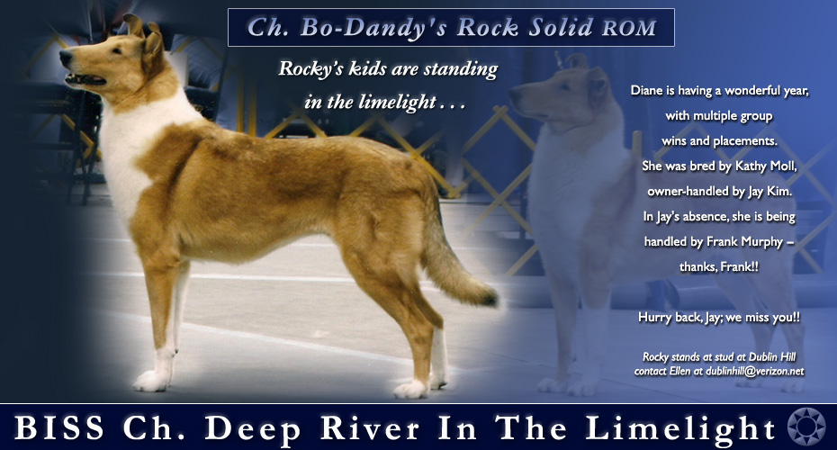Dublin Hill Collies -- Tribute to CH. Bo-Dandy's Rock Solid ROM -- CH Deep River In The Limelight