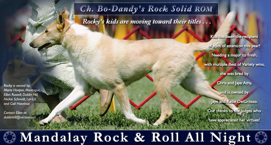 Dublin Hill Collies -- Tribute to CH. Bo-Dandy's Rock Solid ROM -- Mandalay Rock & Roll All Night