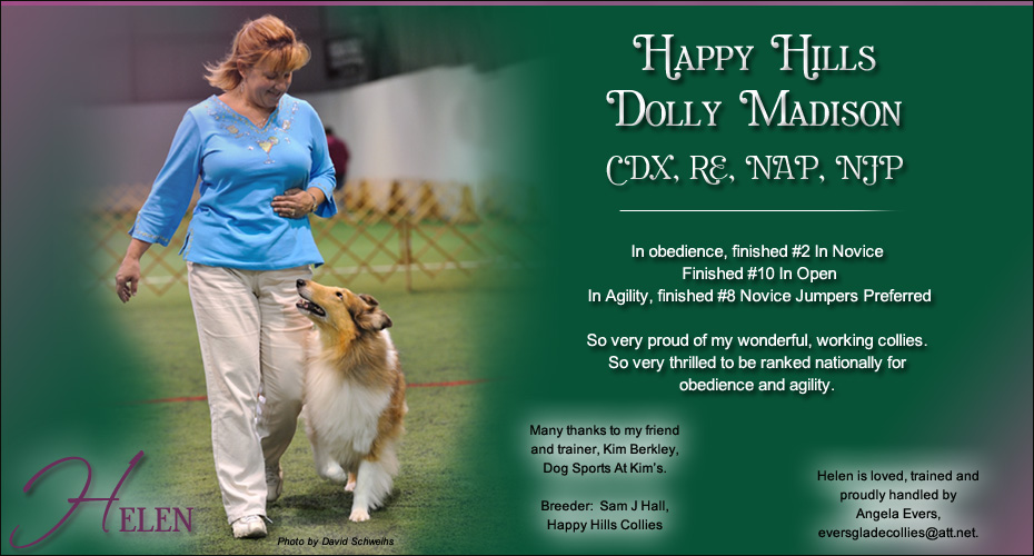 Angela Evers -- Happy Hills Dolly Madison CDX, RE, NAP, NJP