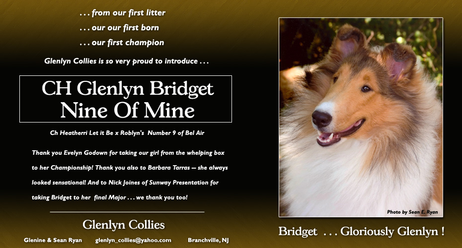 Glenlyn -- CH Glenlyn Bridget Nine Of Mine
