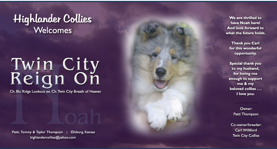 Highlander Collies -- Twin City Reign On