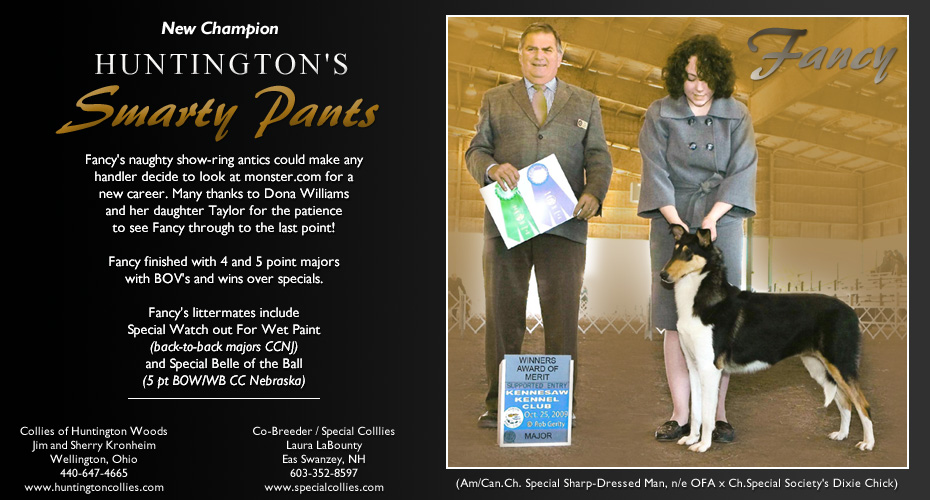 Collies of Huntington Woods -- CH Huntington's Smarty Pants