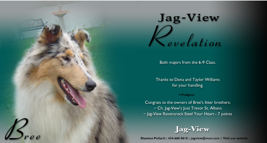Jag-View Collies -- Jag-View Revelation