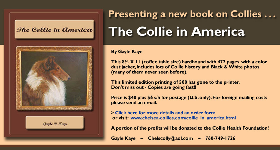 Presenting a new book on Collies . . . The Collie in America by Gayle Kaye