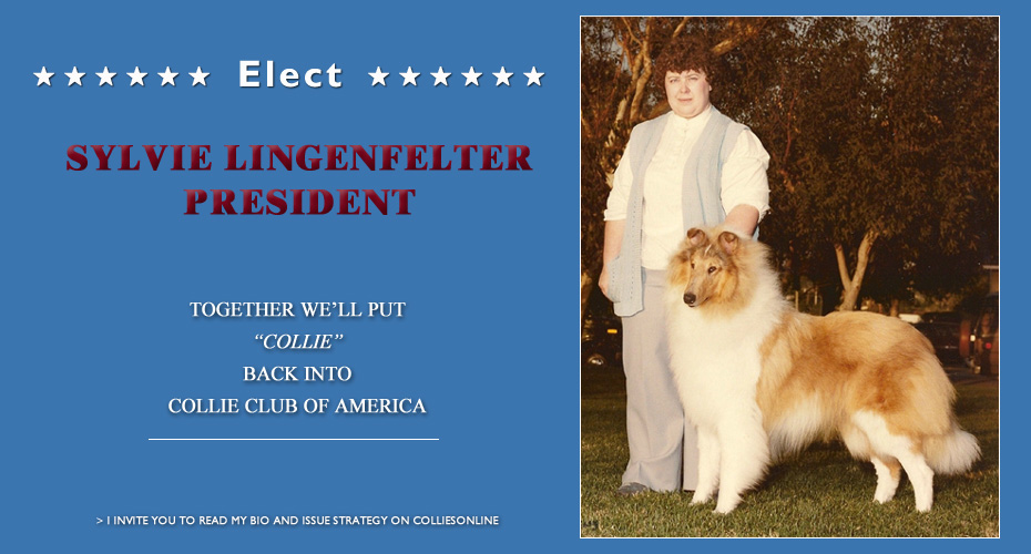 Sylvie Lingenfelter -- Candidate for President
