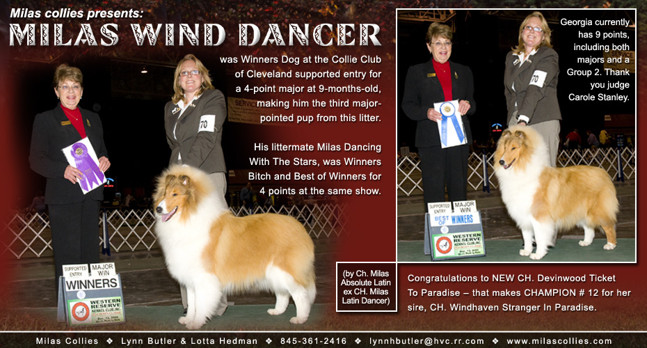 Milas Collies -- Milas Wind Dancer and Milas Dancing With The Stars