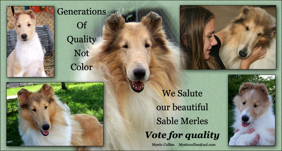 Mystic Collies -- Quality Not Color