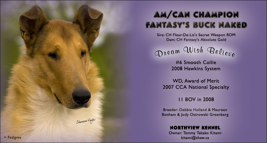 Northview -- AM/CAN CH Fantasy's Buck Naked