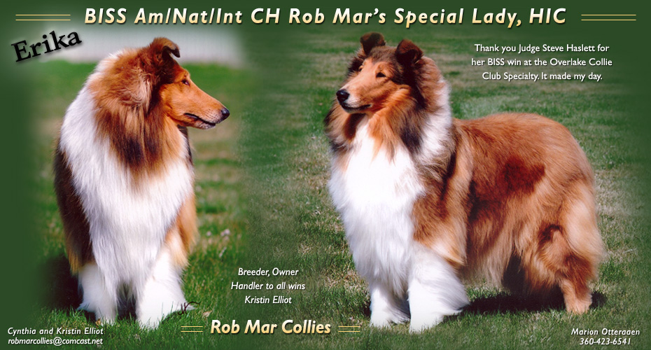 Rob Mar Collies -- AM/NAT/INT CH Rob Mar's Special Lady HIC