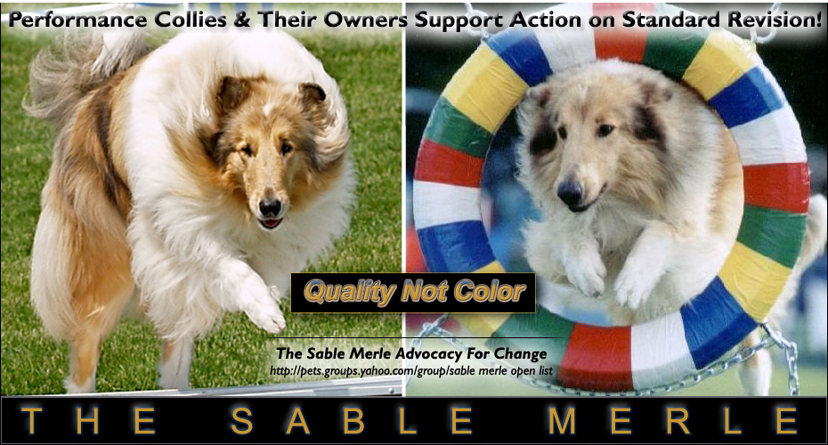The Sable Merle Advocacy For Change -- Performance Collies & Their Owners Support Action on Standard Revision