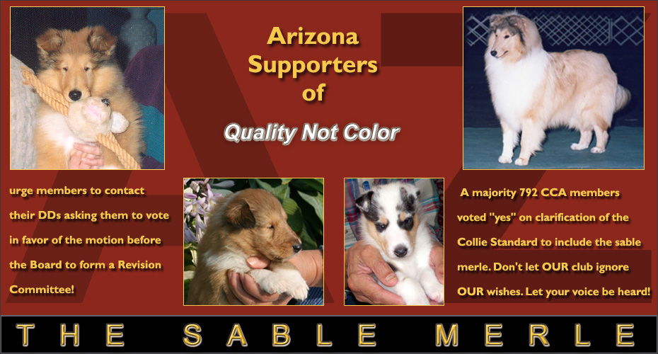 Arizona Supporters Of Quality Not Color
