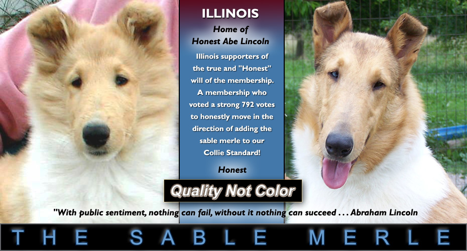 Illinois Supporters Of Quality Not Color