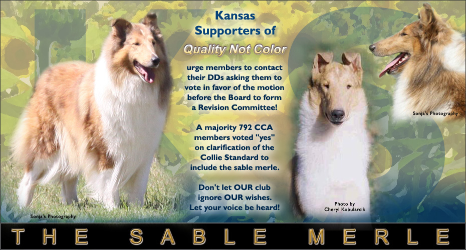 Kansas Supporters Of Quality Not Color
