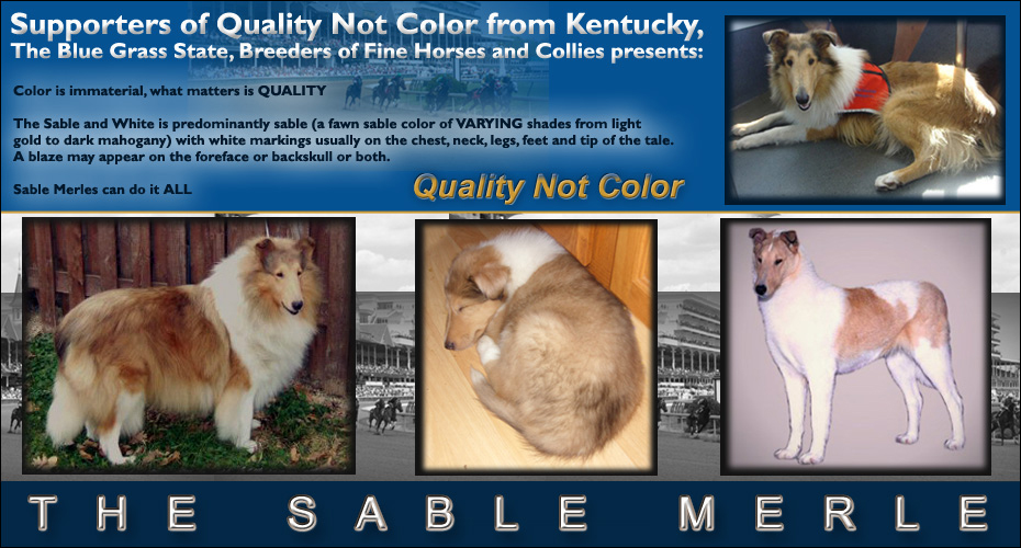 Kentucky Supporters Of Quality Not Color