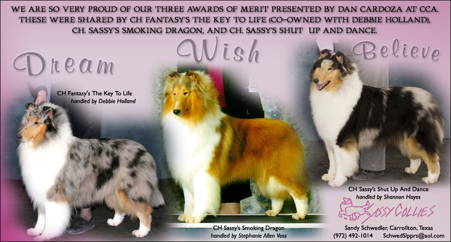 Sassy Collies -- CH Fantasy's The Key To Life, CH Sassy's Smoking Dragon, CH Sassy's Shut Up And Dance