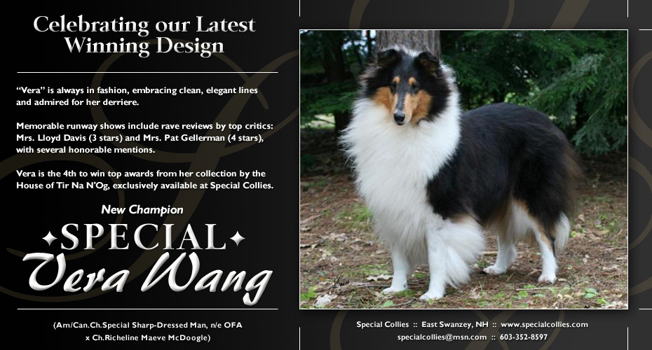 Special Collies -- Special Vera Wang
