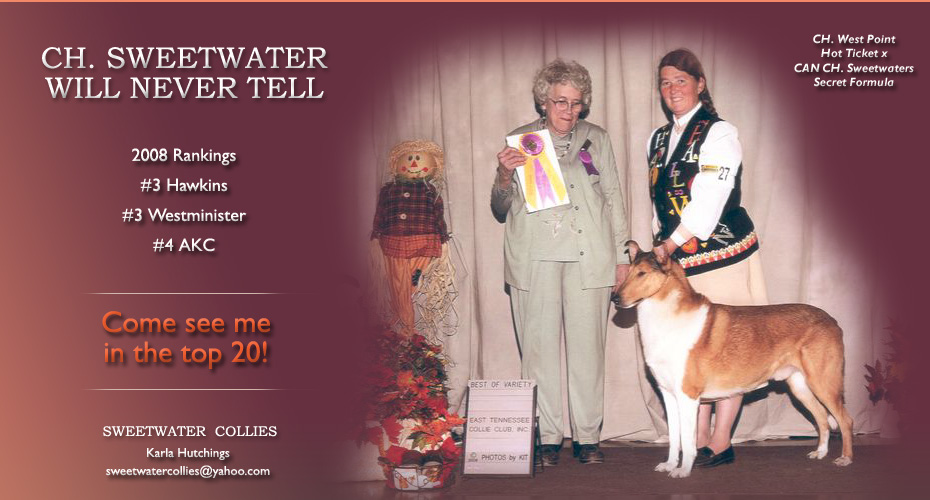 Sweetwater Collies -- CH Sweetwater Will Never Tell