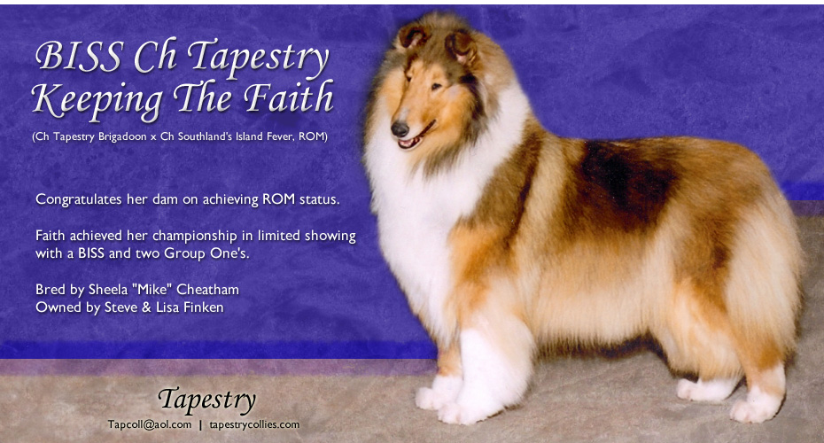 Tapestry Collies -- CH Tapestry Keeping The Faith