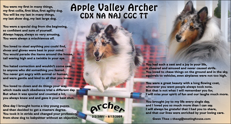 Gwen Thee -- In Loving Memory of Apple Valley Archer CDX, NA, NAJ, CGC, TT
