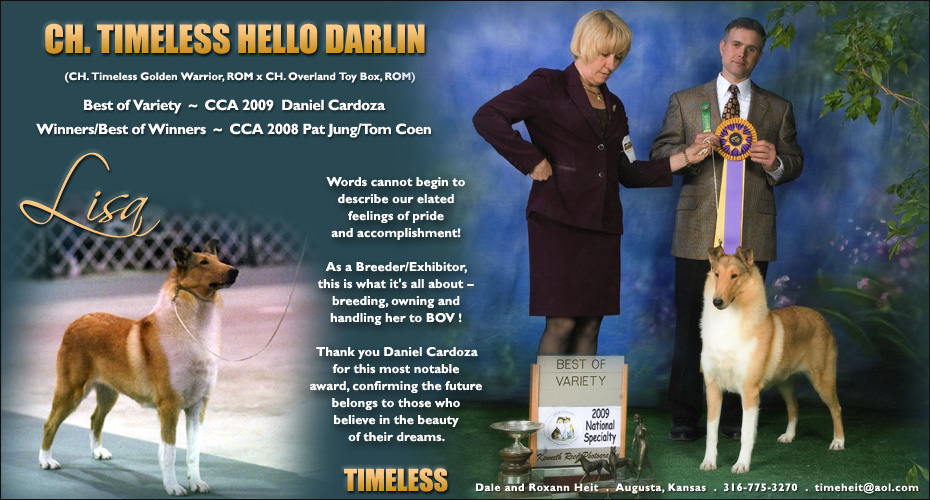 Timeless Collies -- CH Timeless Hello Darlin