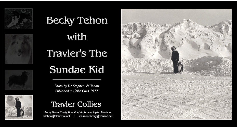 Travler Collies -- In memory of our father, Dr. Stephen W. Tehon -- Becky Tehon with Travler's The Sundae Kid