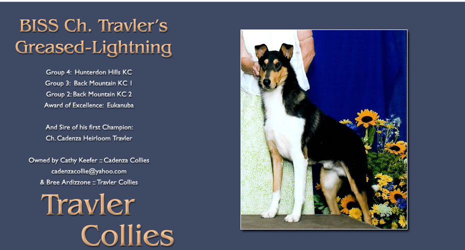 Travler Collies and Cadenza Collies -- CH Travler's Greased-Lightning