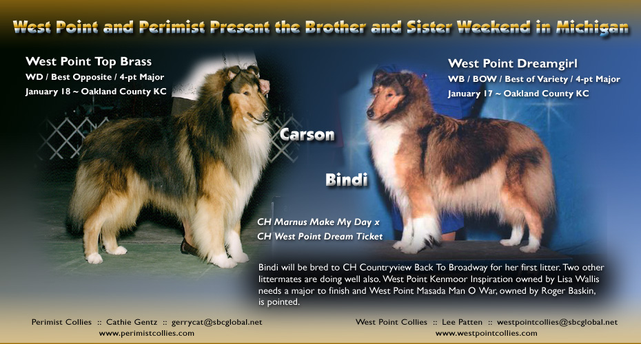 West Point Collies and Perimist Collies -- West Point Dreamgirl and West Point Top Brass