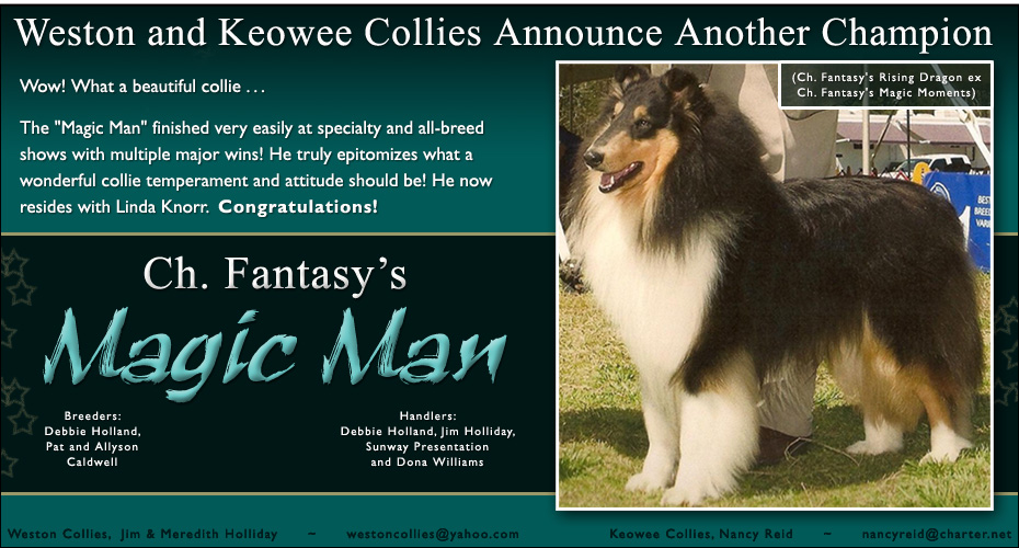 Weston Collies / Keowee Collies -- CH Fantasy's Magic Man