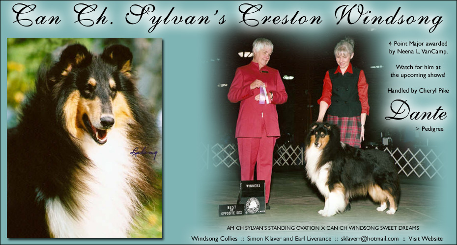 Windsong Collies -- CAN CH Sylvan's Creston Windsong