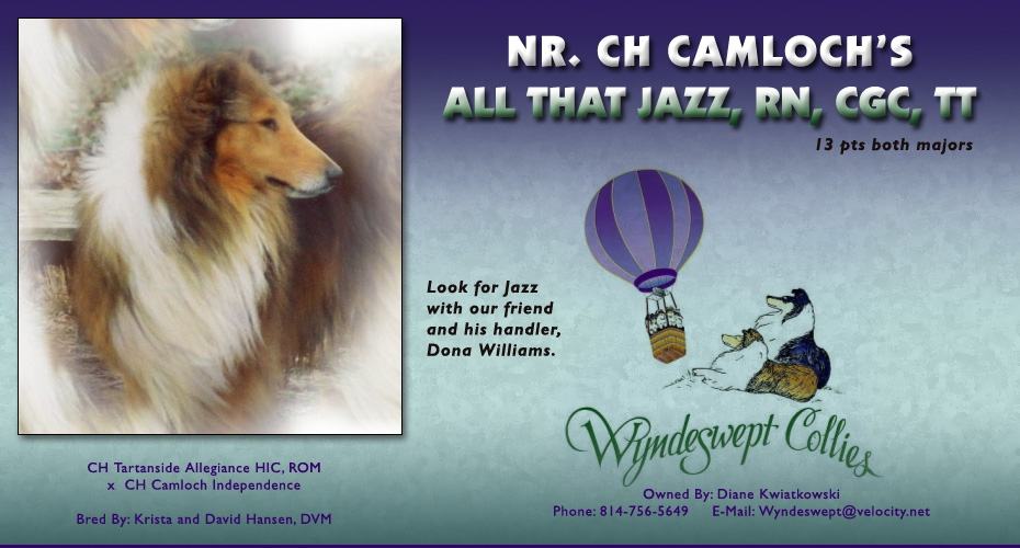 Wyndeswept -- Camloch's  All That Jazz, RN, CGC, TT