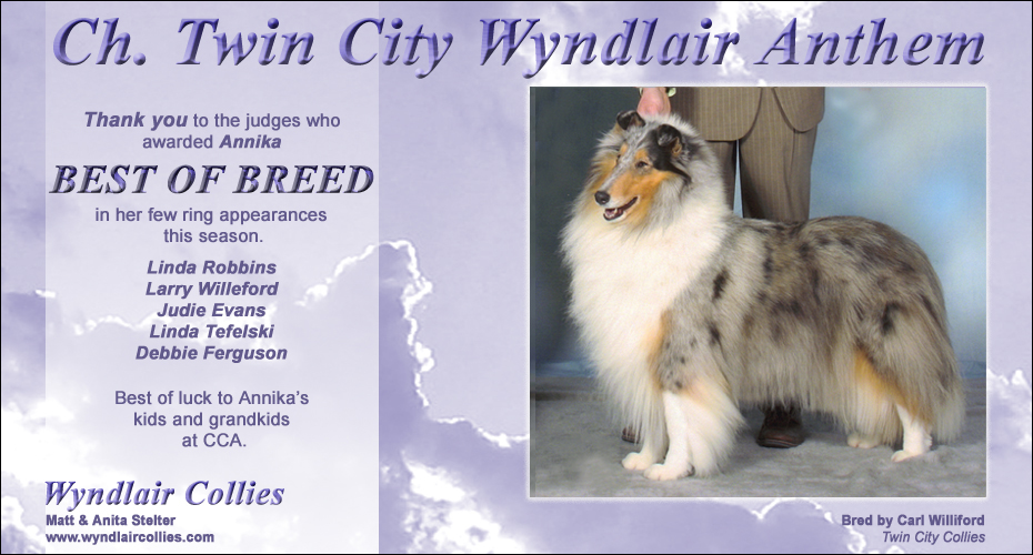 Wyndlair Collies -- CH Twin City Wyndlair Anthem
