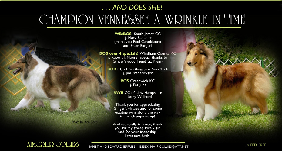 Aimcrier Collies --  CH Vennessee A Wrinkle In Time